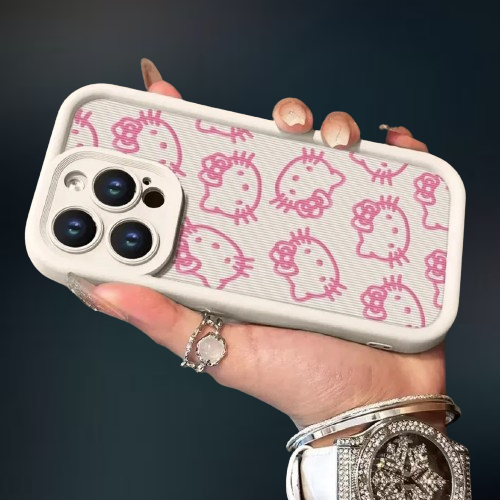 The Hello Kitty Case