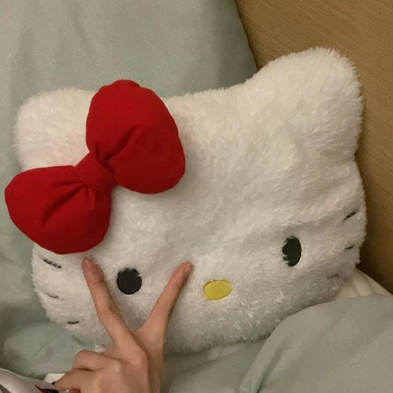 Hello Kitty Pillow